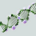 How Genetics Play a Role in Addiction: Understanding GeneSight Testing