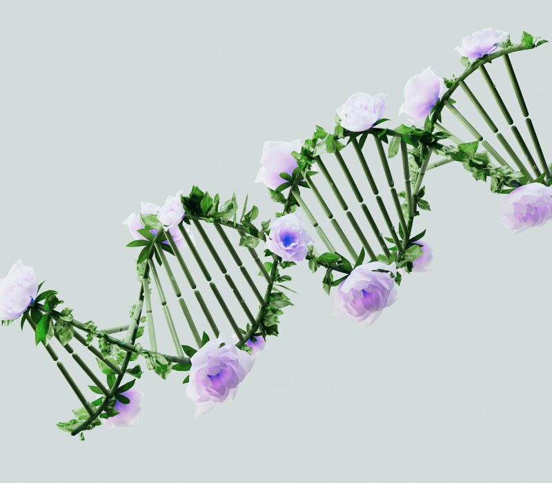 How Genetics Play a Role in Addiction: Understanding GeneSight Testing